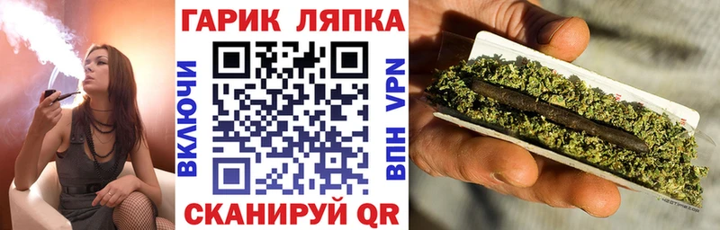 Купить закладки  Заозёрный  Гашиш Premium 