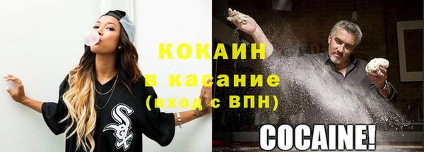 дживик Козельск
