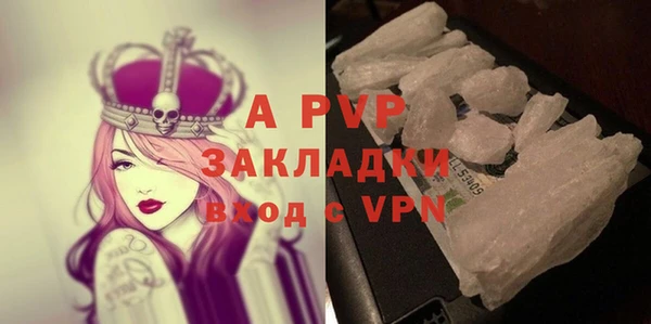 дживик Козельск