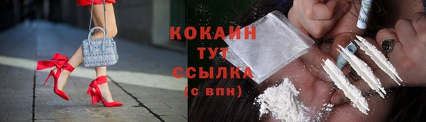 PSILOCYBIN Кодинск