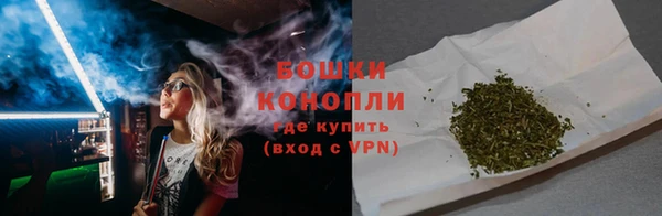 дживик Козельск