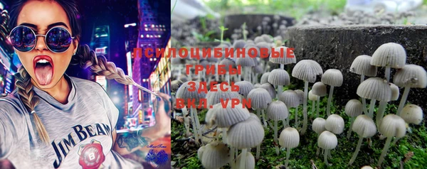 PSILOCYBIN Кодинск