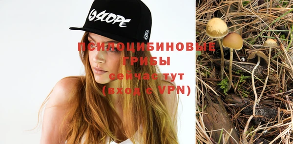меф Корсаков