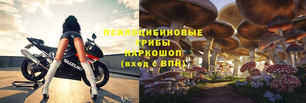 PSILOCYBIN Кодинск
