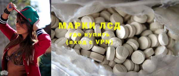 дживик Козельск