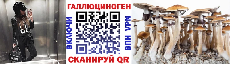 Псилоцибиновые грибы GOLDEN TEACHER  Купить закладки  Заозёрный 